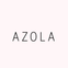 Azola - Home