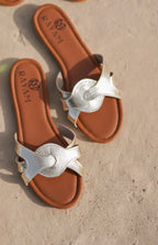Knotted Slides